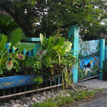 Bocas del Toro Cocomo On The Sea B&B 외부 사진