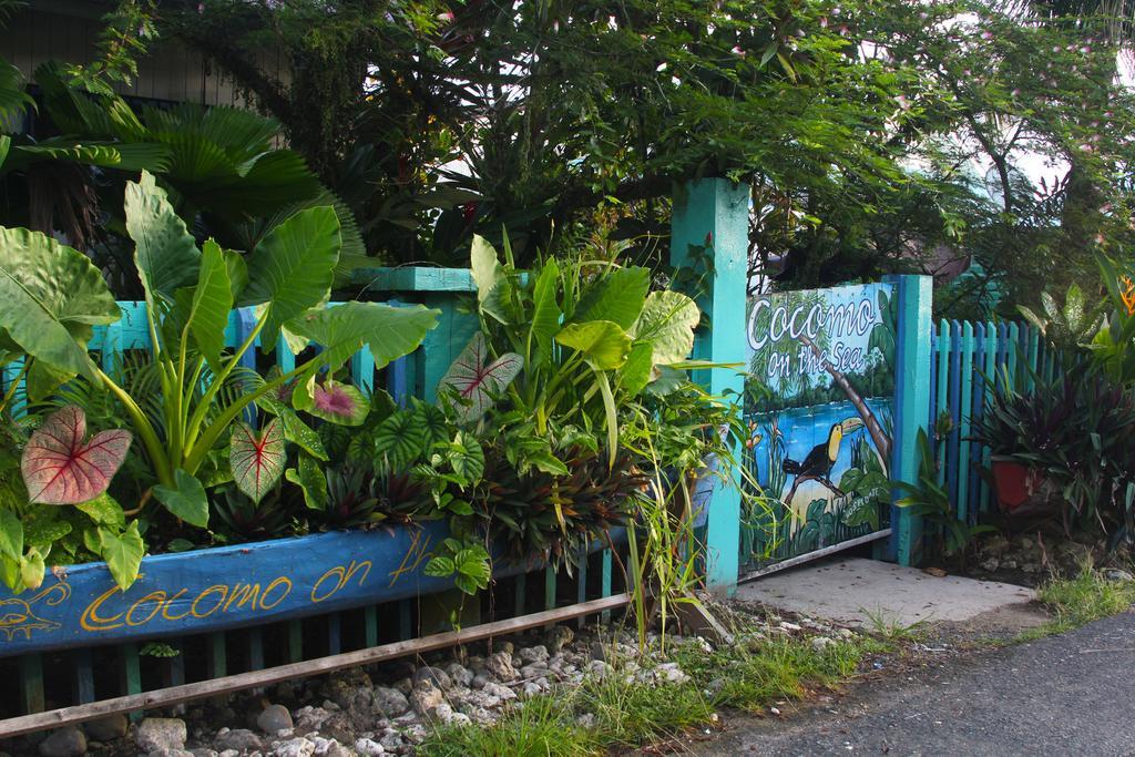 Bocas del Toro Cocomo On The Sea B&B 외부 사진